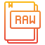 Raw icon 64x64