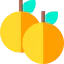 Oranges 图标 64x64