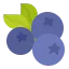 Blueberry icon 64x64