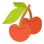 Cherry icon 64x64