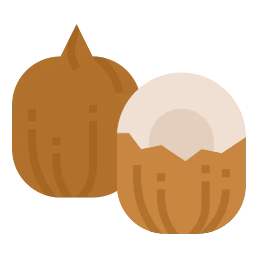 Coconut icon