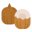 Coconut icon 64x64