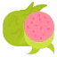 Dragon fruit icon 64x64