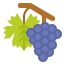 Grapes icon 64x64
