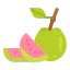 Guava icon 64x64