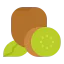 Kiwi icon 64x64