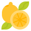 Lemon icon 64x64