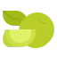 Lime icon 64x64