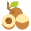 Fruit icon 64x64