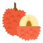 Lychee icon 64x64