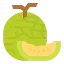 Melon icon 64x64