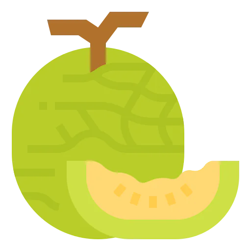 Melon icon
