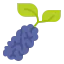 Berry icon 64x64