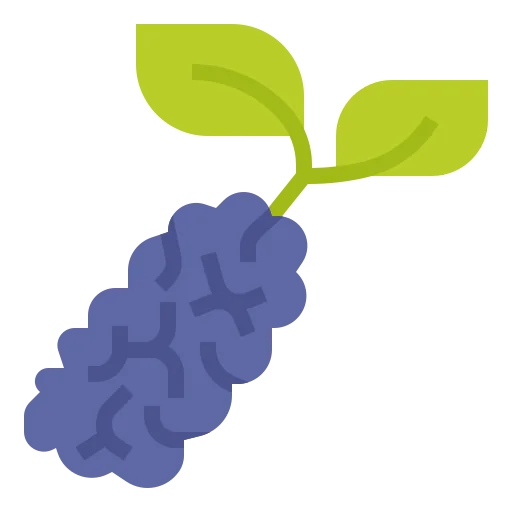 Berry icon