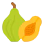 Papaya icon 64x64