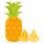Pineapple icon 64x64