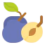 Plum icon 64x64