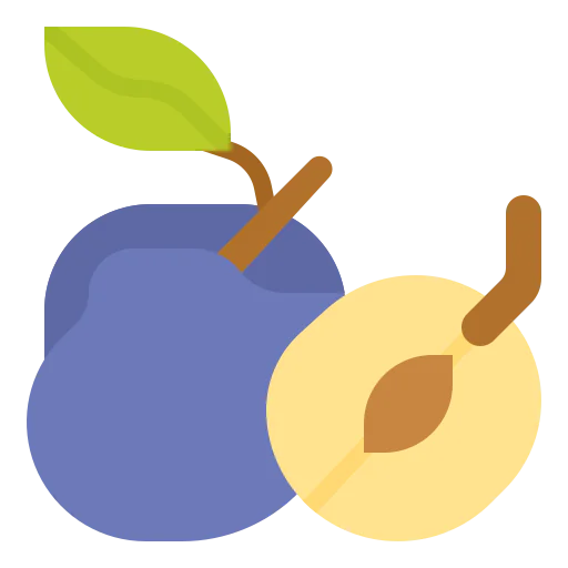 Plum icon
