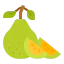 Fruit icon 64x64