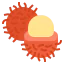 Rambutan icon 64x64