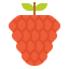 Raspberry 상 64x64