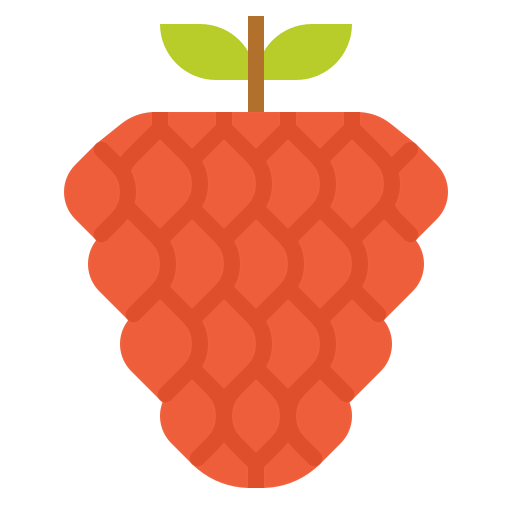 Raspberry アイコン