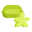 Starfruit icon 64x64
