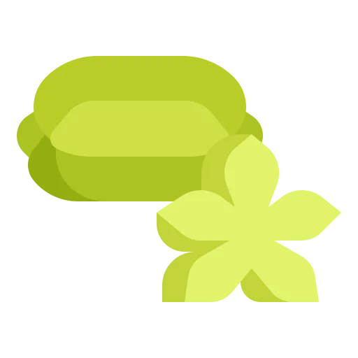 Starfruit icon
