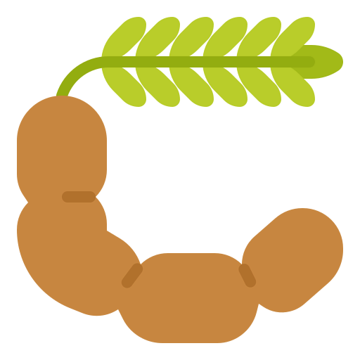 Tamarind icon