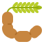 Tamarind icon 64x64