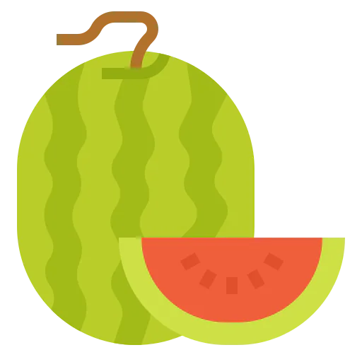 Watermelon icon