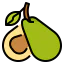 Avocado icon 64x64