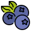 Blueberry icon 64x64