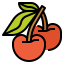 Cherry icon 64x64