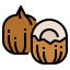 Coconut icon 64x64