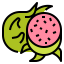 Dragon fruit icon 64x64