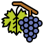 Grapes icon 64x64