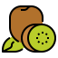 Kiwi icon 64x64