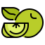 Lime icon 64x64
