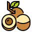 Fruit icon 64x64