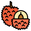 Lychee icon 64x64