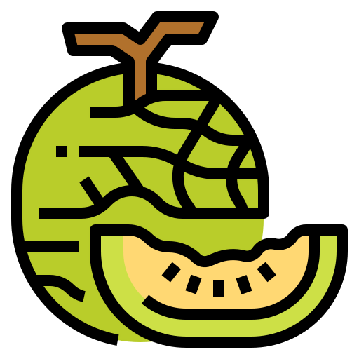 Melon icon