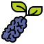 Berry icon 64x64