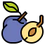 Plum icon 64x64