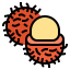 Rambutan icon 64x64