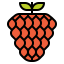 Raspberry 상 64x64