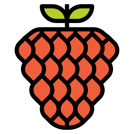 Raspberry icon