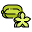 Starfruit icon 64x64