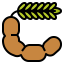 Tamarind icon 64x64