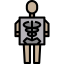 X ray 图标 64x64